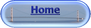 Bridge Browser: Home